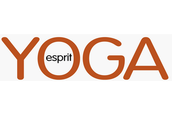 Read more about the article 05.01.21 – ESPRIT YOGA – Concept Zenandboost