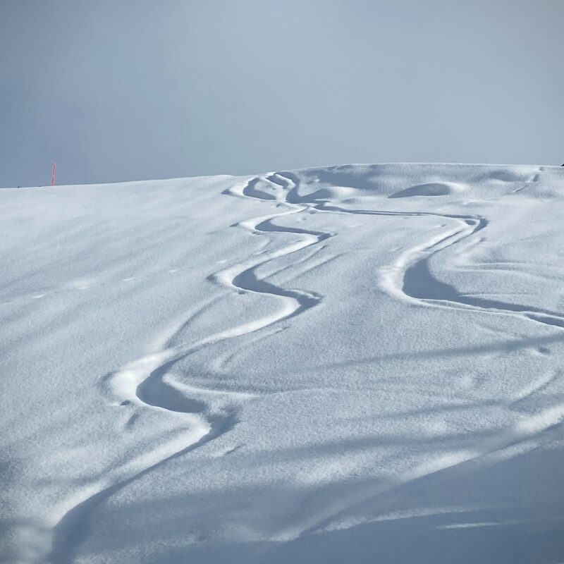 Pack Coaching pré-ski