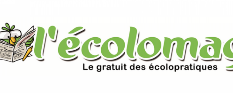 Lire la suite à propos de l’article Janvier 2023 – Ecolomag en ligne- Routine détente